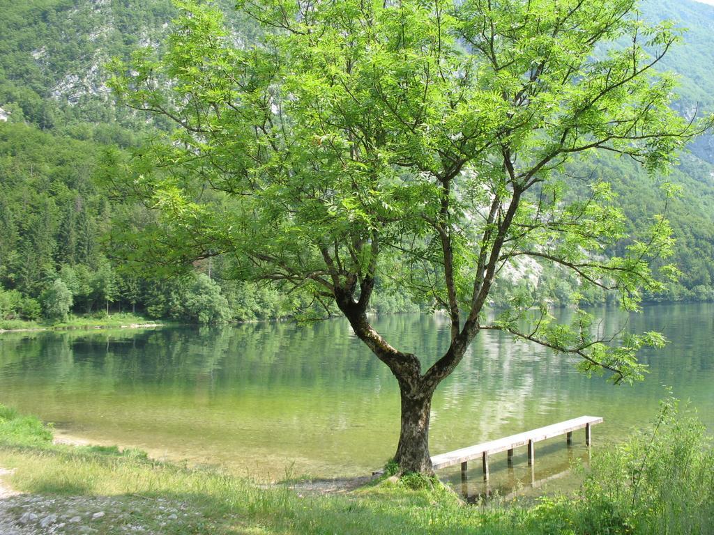 Apartma Jeglic Bohinj Δωμάτιο φωτογραφία